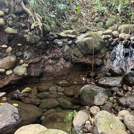 Casa Rio Blanco Eco Friendly B&B Guápiles 외부 사진