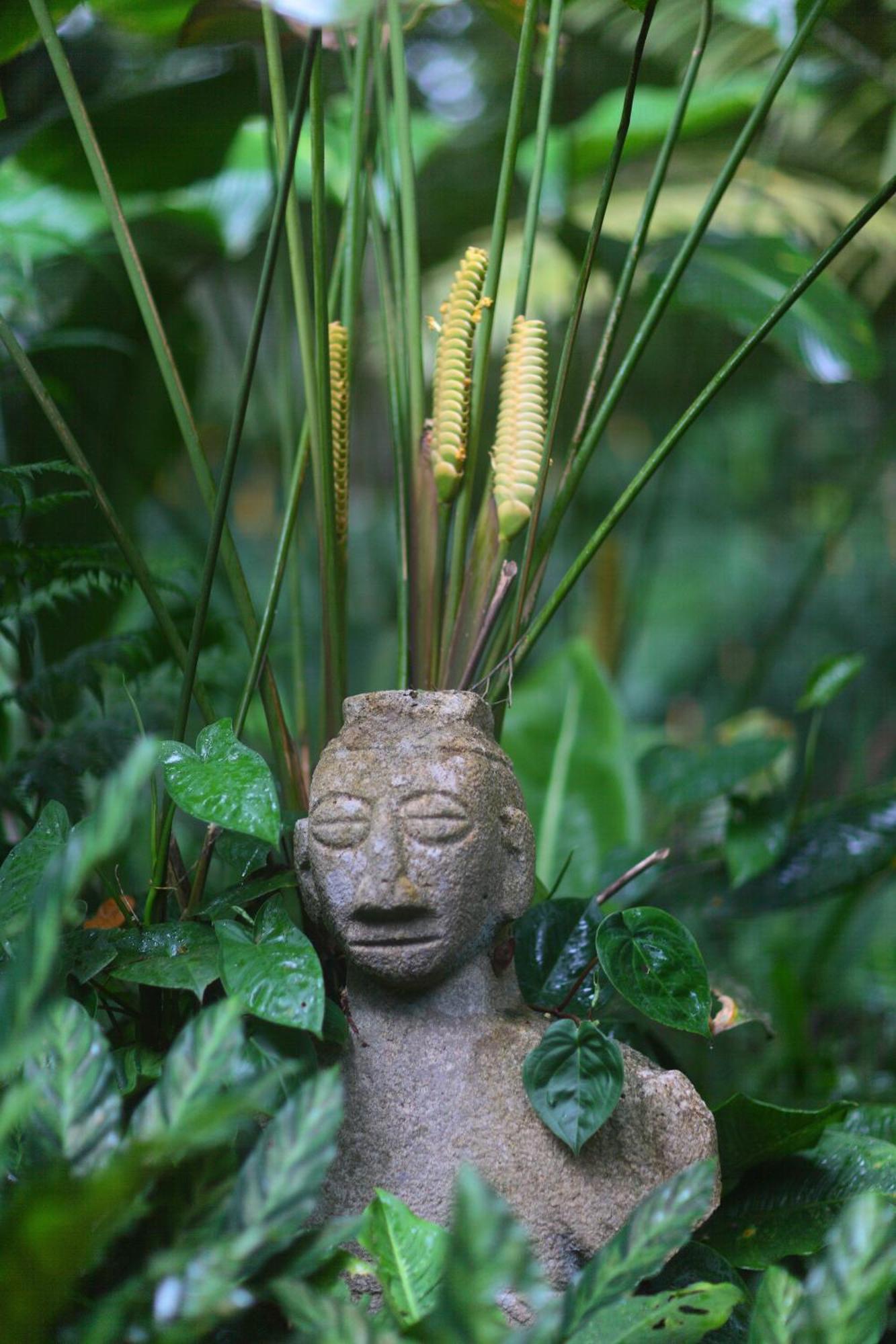 Casa Rio Blanco Eco Friendly B&B Guápiles 외부 사진