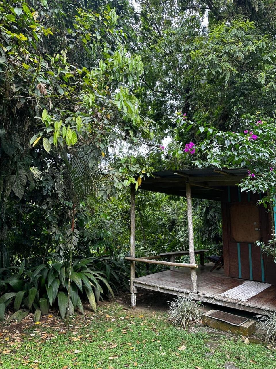 Casa Rio Blanco Eco Friendly B&B Guápiles 외부 사진