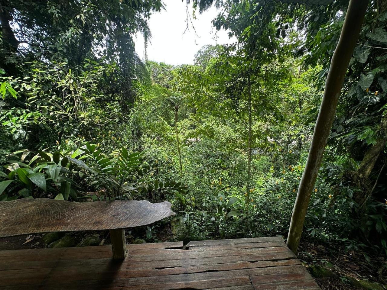 Casa Rio Blanco Eco Friendly B&B Guápiles 외부 사진