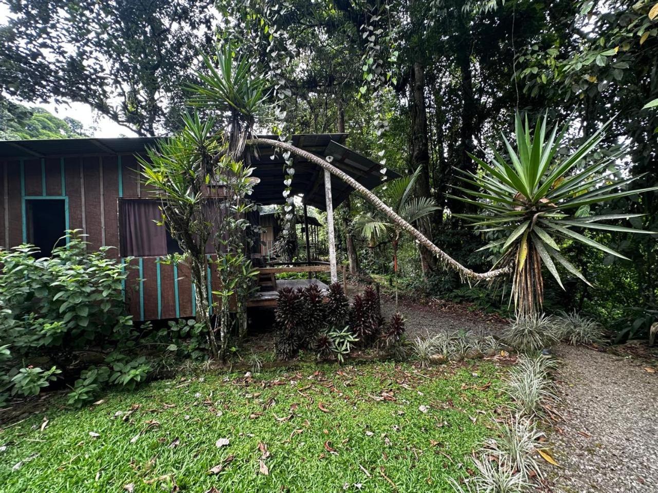 Casa Rio Blanco Eco Friendly B&B Guápiles 외부 사진