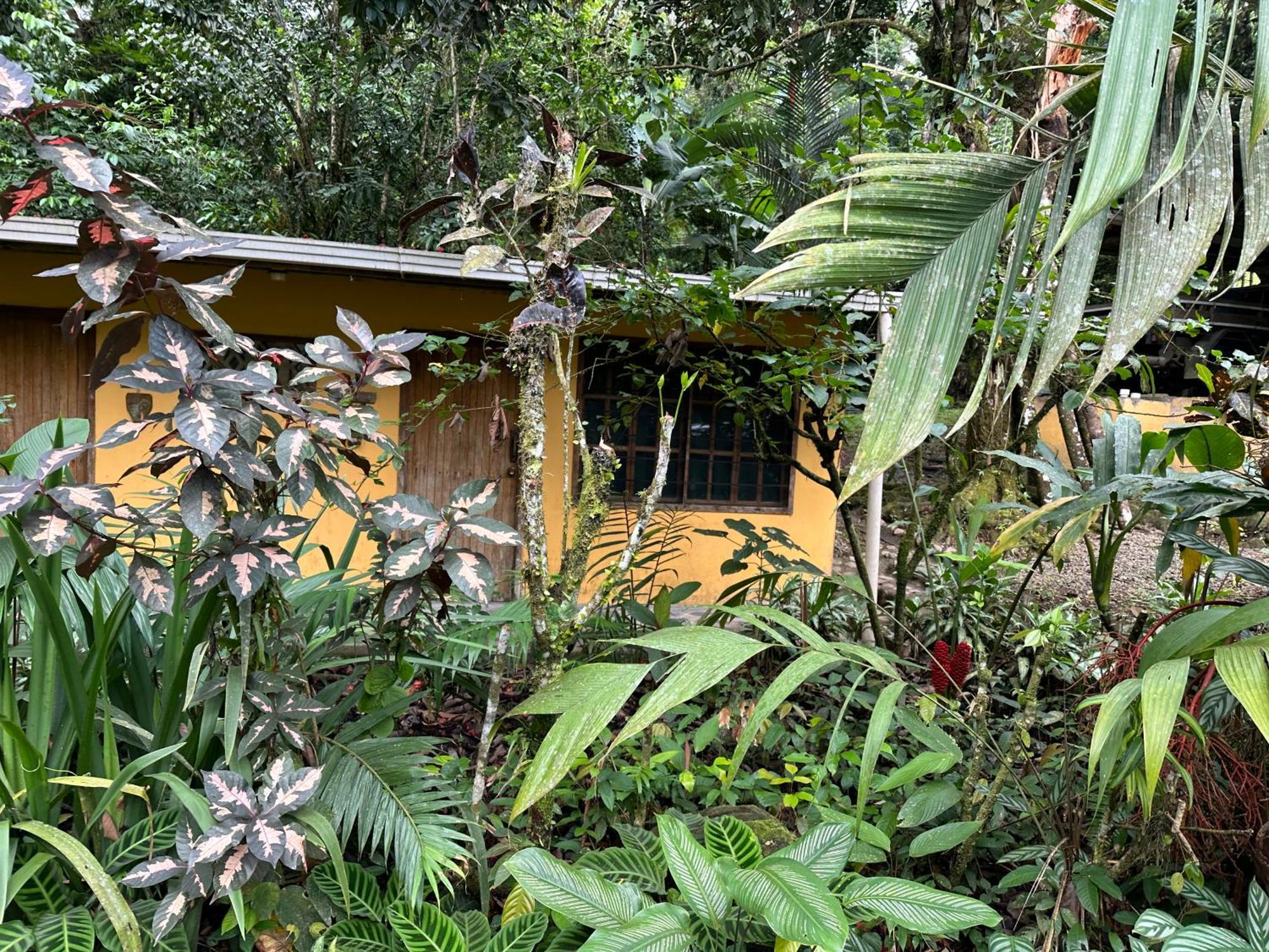 Casa Rio Blanco Eco Friendly B&B Guápiles 외부 사진