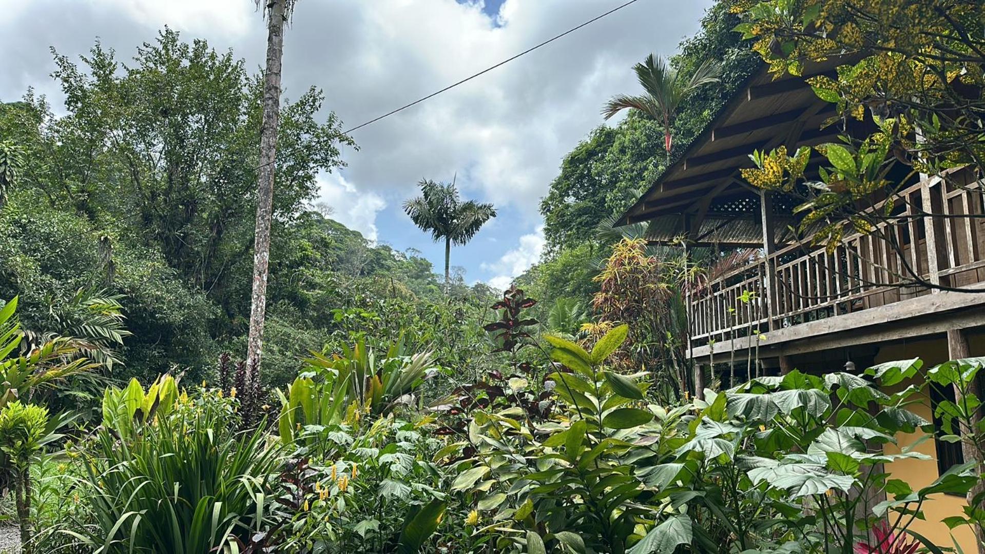 Casa Rio Blanco Eco Friendly B&B Guápiles 외부 사진