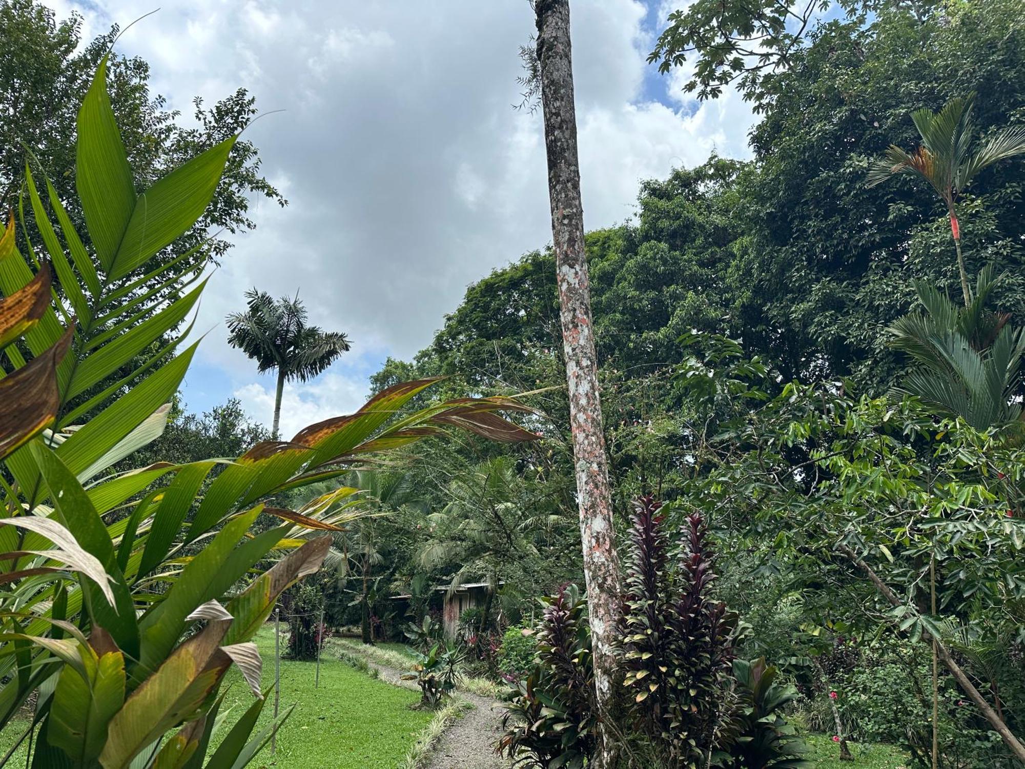 Casa Rio Blanco Eco Friendly B&B Guápiles 외부 사진