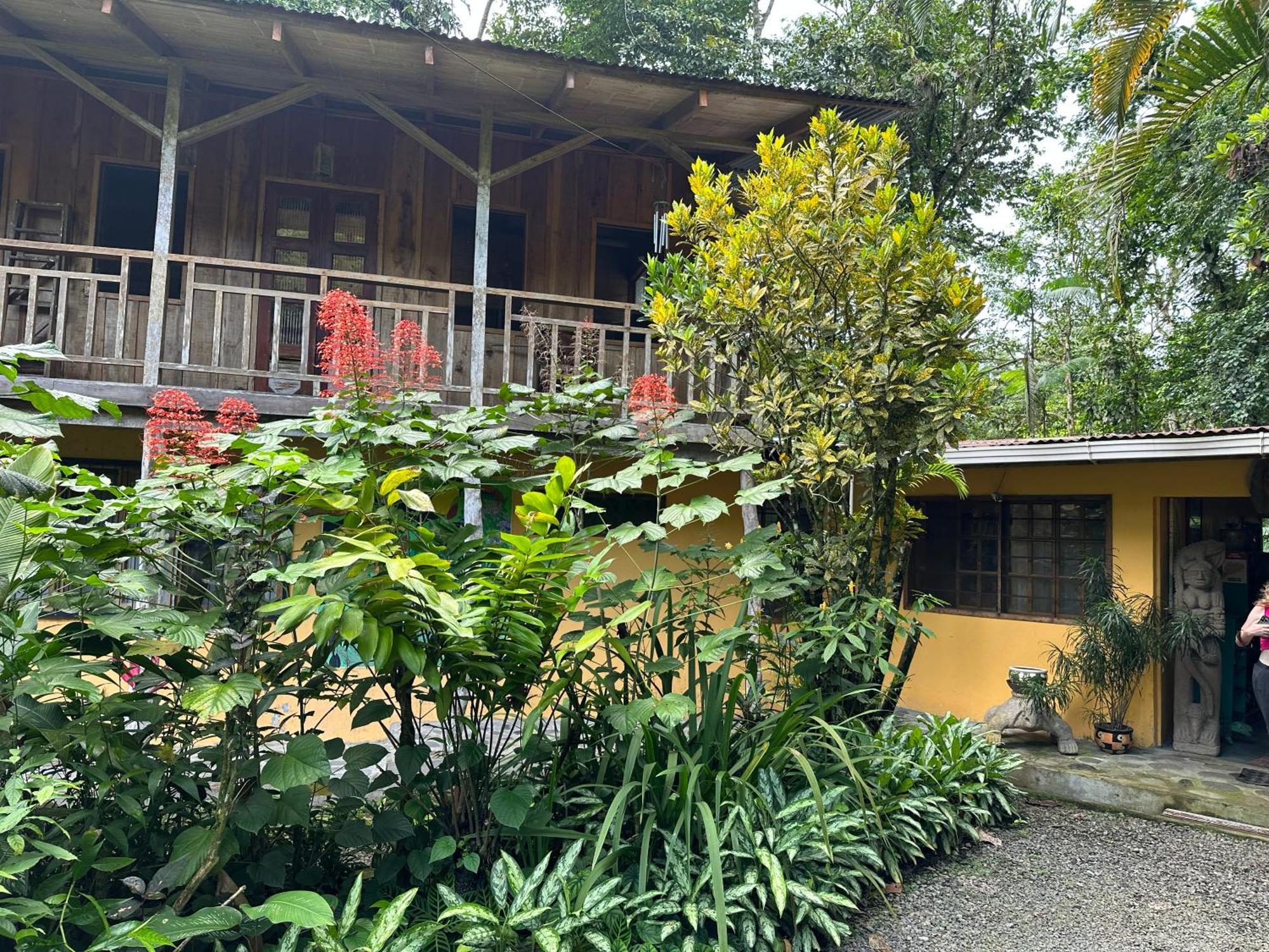 Casa Rio Blanco Eco Friendly B&B Guápiles 외부 사진