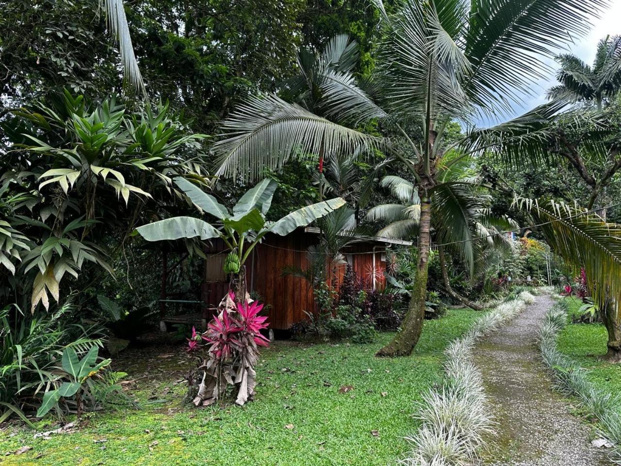 Casa Rio Blanco Eco Friendly B&B Guápiles 외부 사진