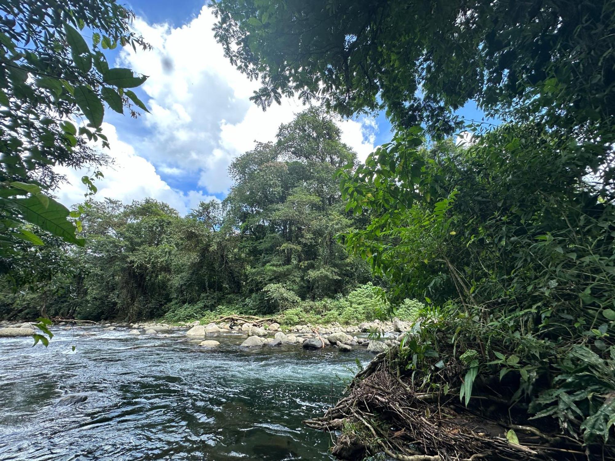 Casa Rio Blanco Eco Friendly B&B Guápiles 외부 사진