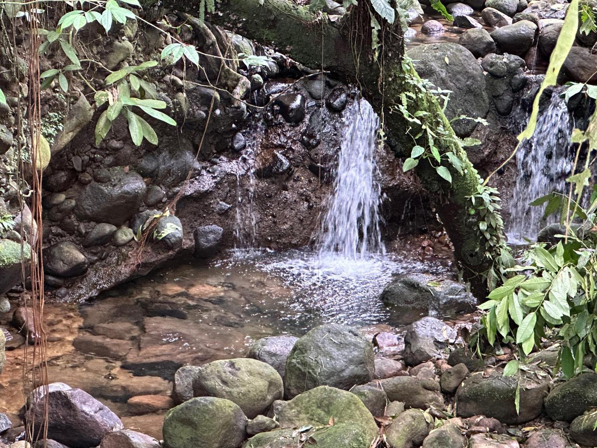 Casa Rio Blanco Eco Friendly B&B Guápiles 외부 사진