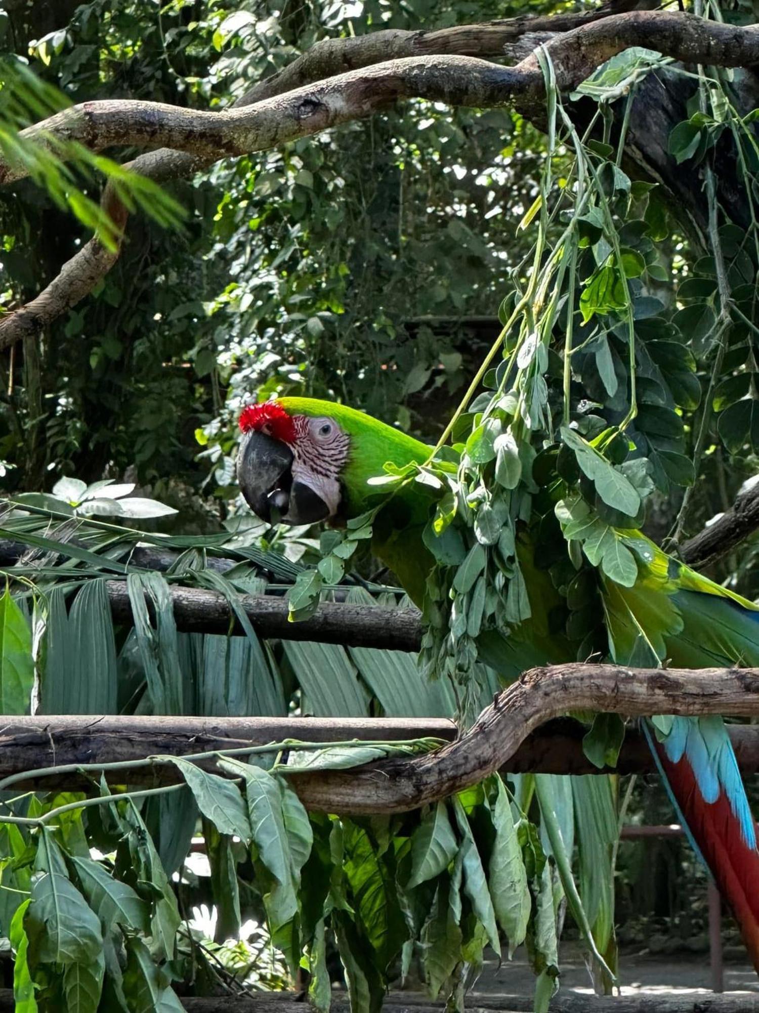 Casa Rio Blanco Eco Friendly B&B Guápiles 외부 사진