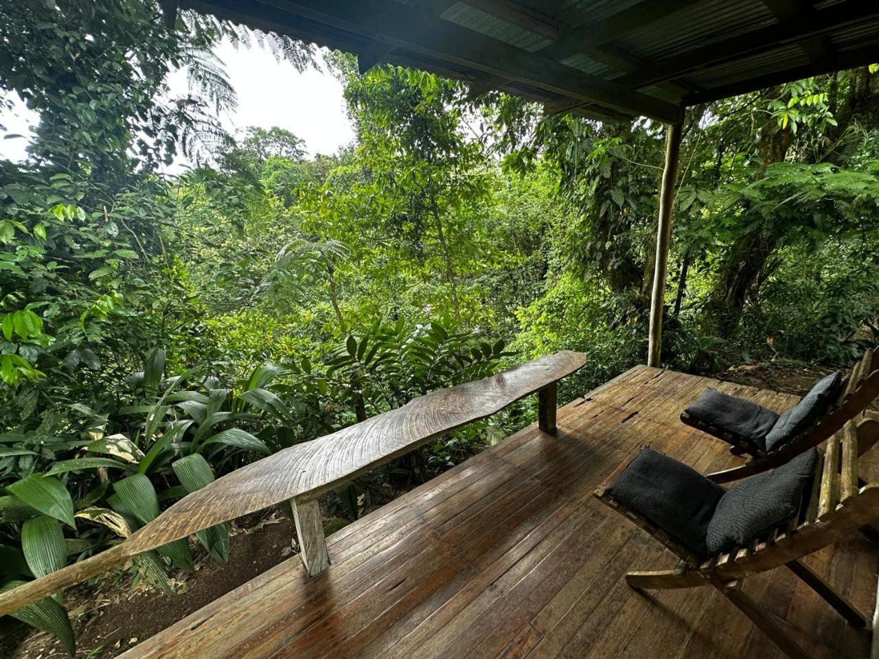 Casa Rio Blanco Eco Friendly B&B Guápiles 외부 사진