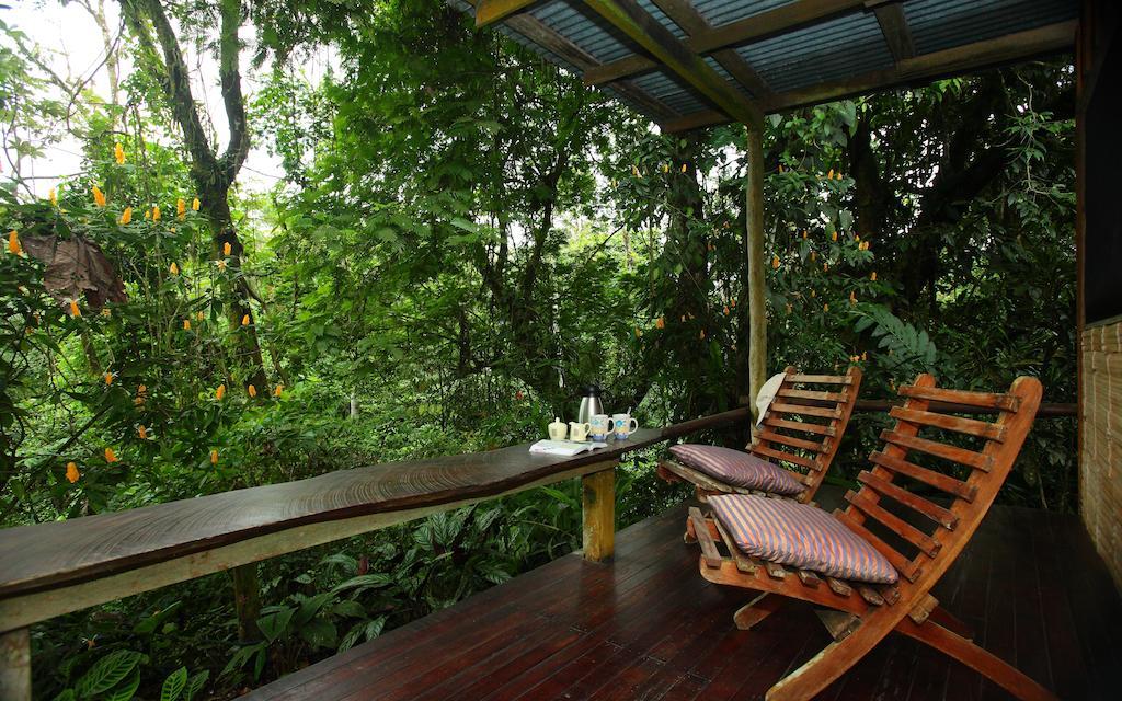 Casa Rio Blanco Eco Friendly B&B Guápiles 외부 사진